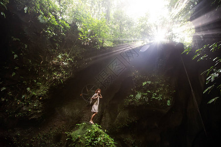 印度尼西亚巴厘岛丛林图片