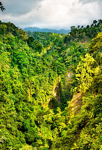 印度尼西亚东爪哇Sewu瀑布的Gli图片