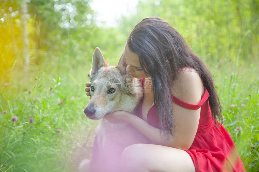 年轻的年轻女子与volkosob狼狗在大自图片