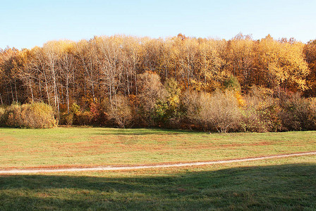 秋天落叶的秋天公园图片