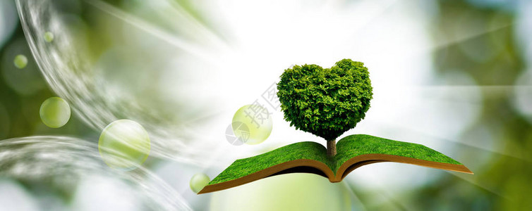 一棵树的立体图像以书中的心形呈现在一幅奇妙图片