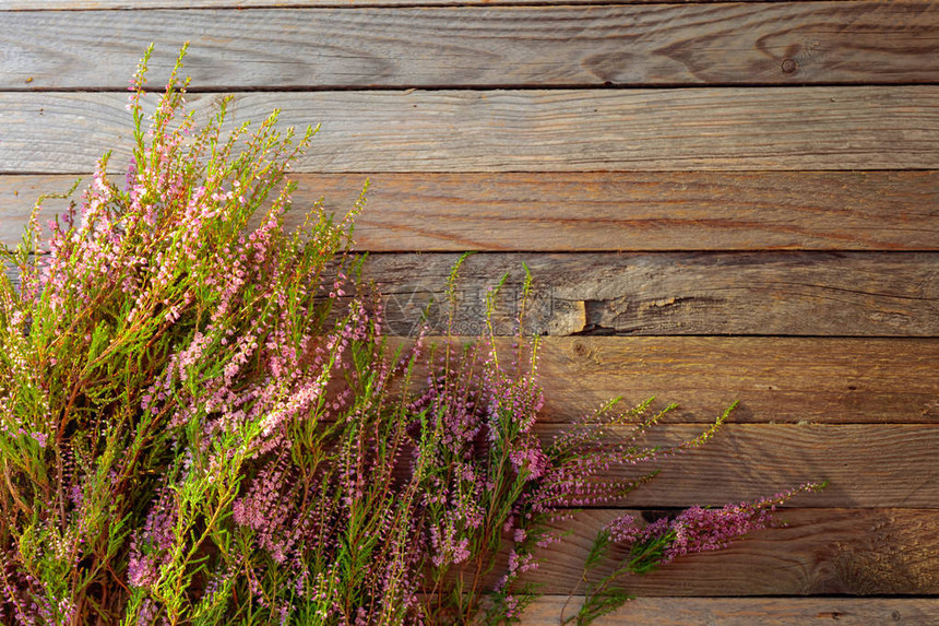 在质朴的木制背景上盛开的粉红色石南花callunavulgaris图片