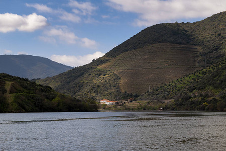 葡萄牙图阿村附近有一条传统的拉贝罗船和梯田葡萄园高清图片
