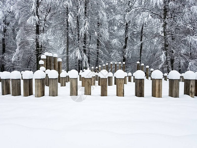 冬季风景在林木区有一个公园雕塑和图片