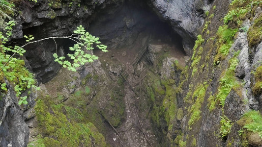 森林岩石之间峡谷的顶视图影视素材两个长满苔藓的悬崖挂在小峡谷上图片
