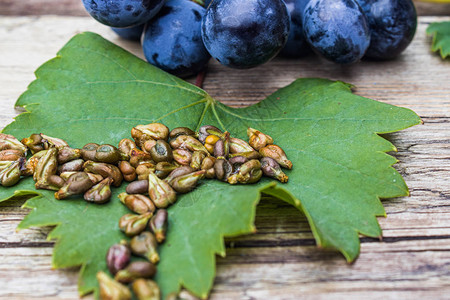 旧木板上绿叶上的葡萄和葡萄籽蓝葡萄水疗生物背景图片