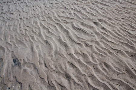 作为背景的沙漠子在大盐湖图片