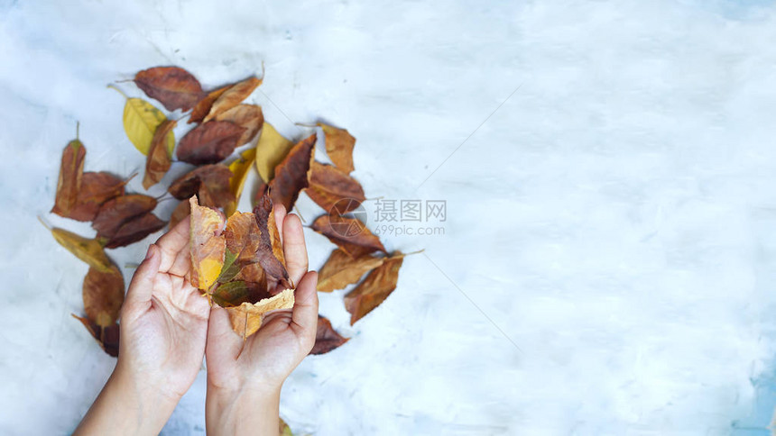 女人抱着秋叶在明亮的背景下秋天的概念手与秋叶复制文本图片