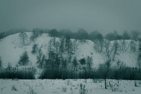 山上冬季满是雪有树黑白树木横向图片