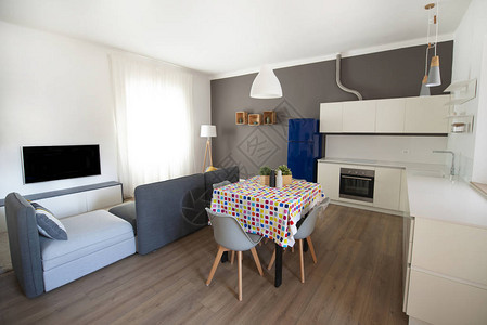 现代公寓有客厅和白厨图片