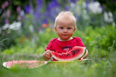 可爱的幼儿小男孩在花园里吃成熟的西瓜图片