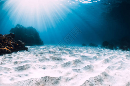 热带蓝色海洋有白色沙子图片