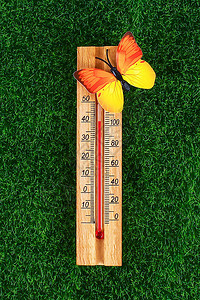 温度计在阳光夏日显示40度高温度40夏季温度草地上的图片