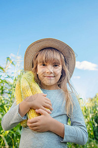 玉米在田地上儿童手中图片
