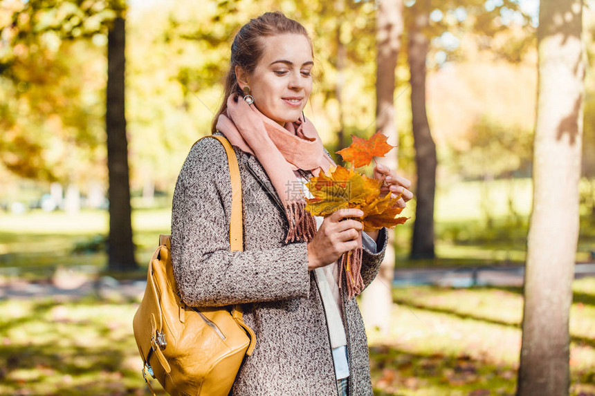 美丽的女人在秋天的公园里拿着黄色的橄榄树叶在户外荡来图片