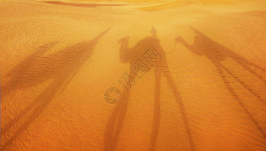 穿越撒哈拉沙漠丘的骆驼大篷车图片