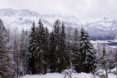 雷德森哈尔下雪的寒冷的高清图片