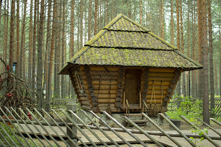森林中的一座小木屋图片