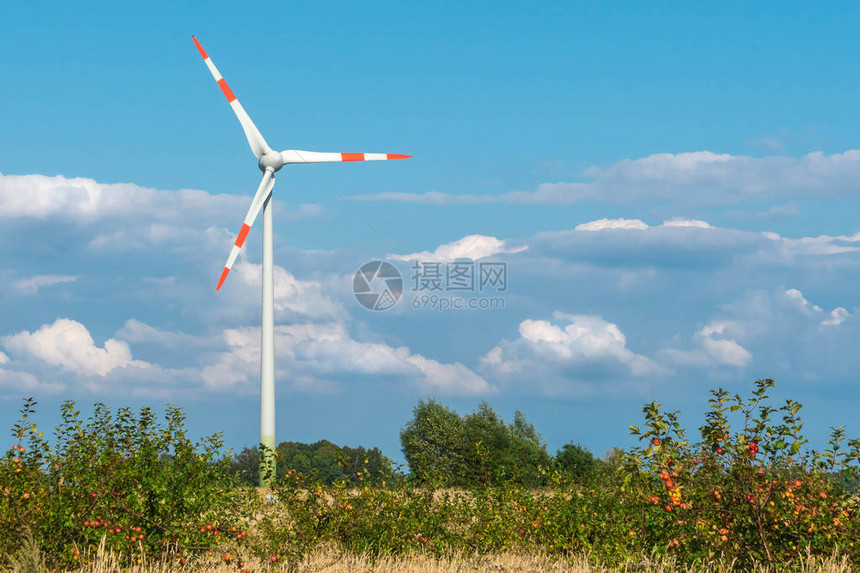 草地风力涡轮机图片