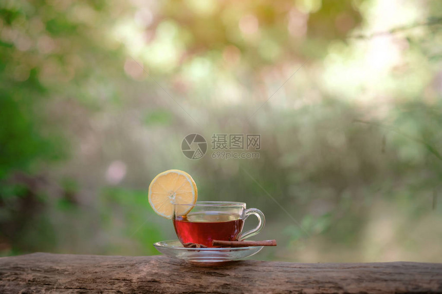 玻璃杯茶在森林里图片