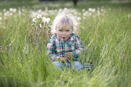 童年的假期有蒲公英的金发小男孩一岁的婴儿坐在草地上图片