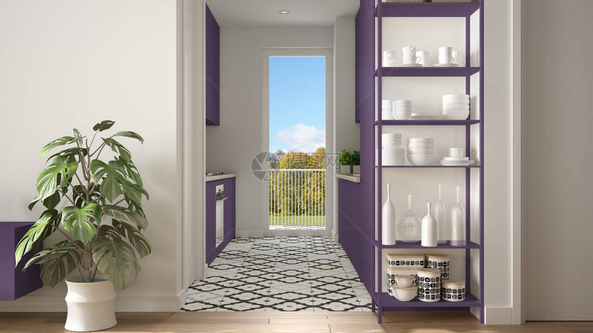 现代白色和紫色简约客厅配有小厨房镶木地板盆栽植物带装饰的搁架系统彩色瓷砖建筑图片