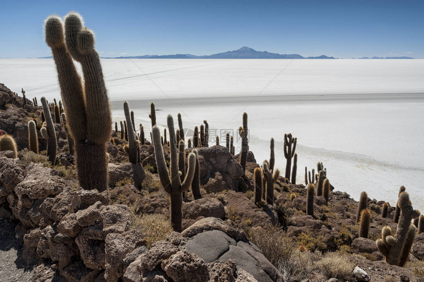 玻利维亚乌尤尼盐沼世界最大的盐原中部印加华西岛图片