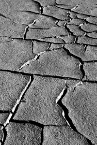 旱地和鸟类足迹黑白风景自然摄影破裂的地面纹理背景干裂的背景图片