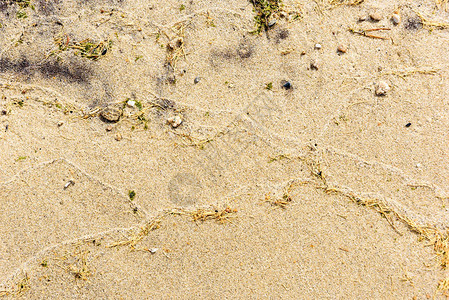 夏天海滩的沙纹特写夏天海滩湿的创辉沙纹特写图片