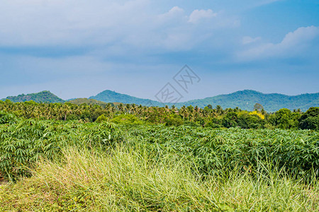 泰国青山风景泰国青山风景图片