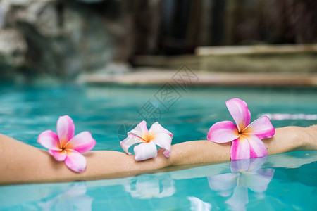 热带花朵丰盛的梅花漂浮在水中的利拉瓦迪人温泉池和图片