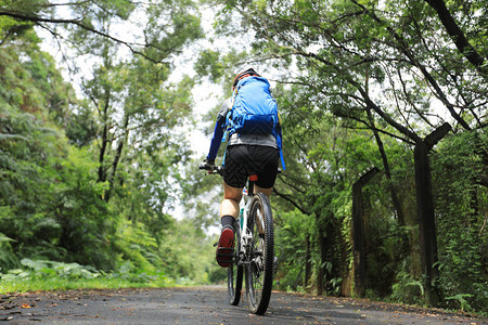 在热带雨林小径上骑山地自行车的图片