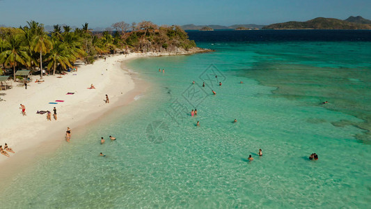 鸟瞰海滩与热带岛屿上的游客棕榈树和清澈的蓝色海水图片