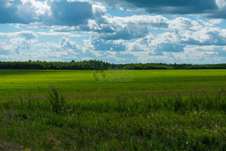 乡村景观夏天的田野和云图片