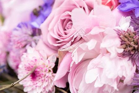 在节日的花束中紧贴着粉红玫瑰和菊图片