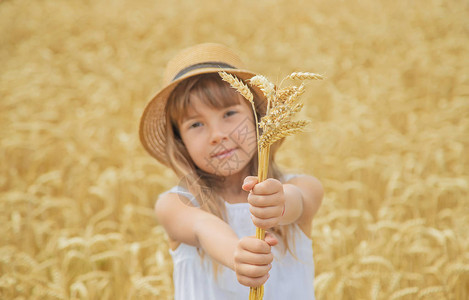 一个小麦田里的孩子图片