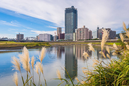 熊本日本市中心城市景色下图片