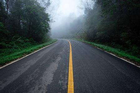 道路与自然森林和雨林的雾路图片