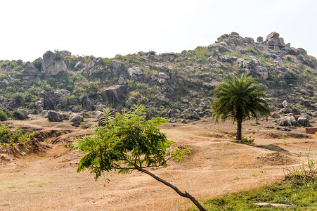 印度贾坎德邦乔塔那格浦尔高原干燥丘陵地区景观图片