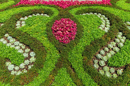 法国花园特写用鲜花装饰图片