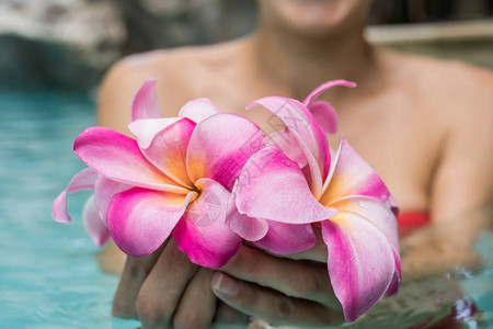 热带花朵弗朗吉帕尼普卢梅里亚丽拉瓦迪漂浮在水中西班牙游泳池和平与安图片