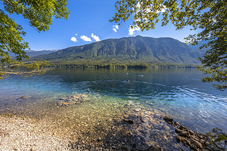 Jezero或Bohinj湖的绿石水图片