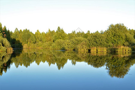 美丽的池塘的景色与树木图片