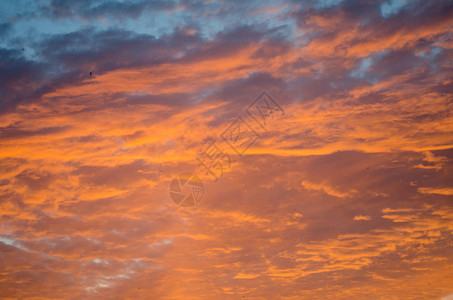 美丽的日落天空有明亮的橙色云图片