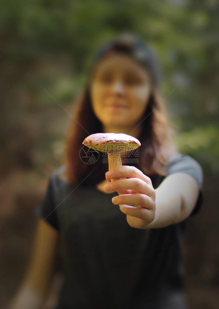 Xerocomussubtomentosus在聚光灯下蘑菇人展示她在森林里的收集绒面革牛肝菌在手黄裂牛肝菌蘑图片