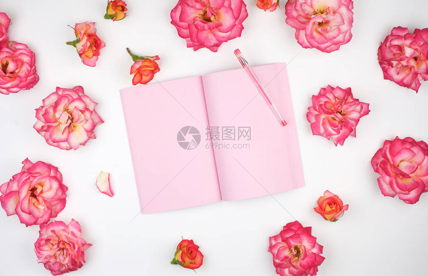 张开笔记本在白背景和粉红玫瑰花瓣上用图片