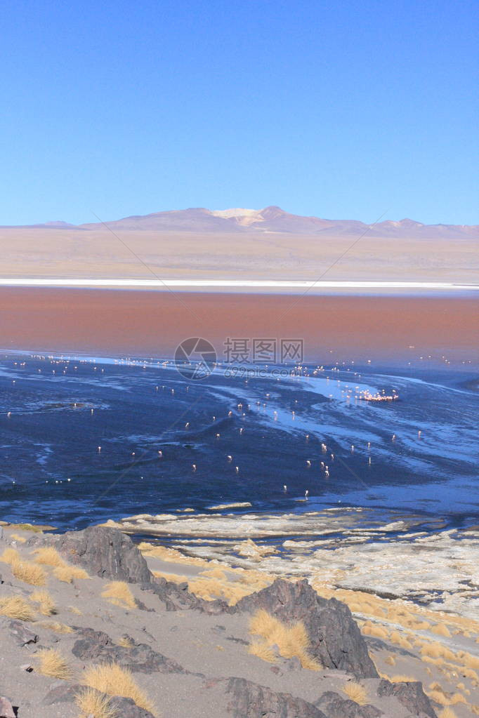 乌尤尼盐沼位于玻利维亚西南部的安第斯山脉中图片