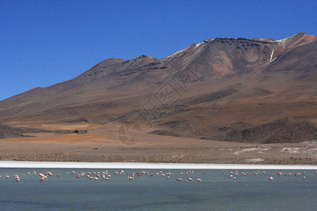 乌尤尼盐沼位于玻利维亚西南部的安第斯山脉中图片