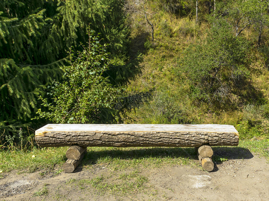 山上休闲的好去处树下的长木凳美丽的风景图片