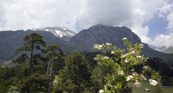 美丽的山区地貌图片